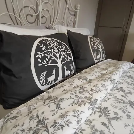 Découvrez Ancienne Maison De Drapier Du Xvii Siecle Au Coeur De Bastide Carcassonne