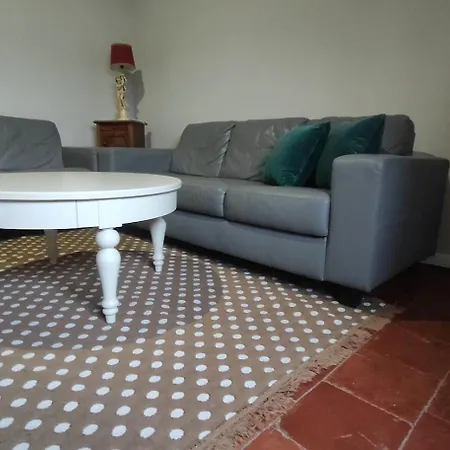 Découvrez Ancienne Maison De Drapier Du Xvii Siecle Au Coeur De Bastide Appartamento *