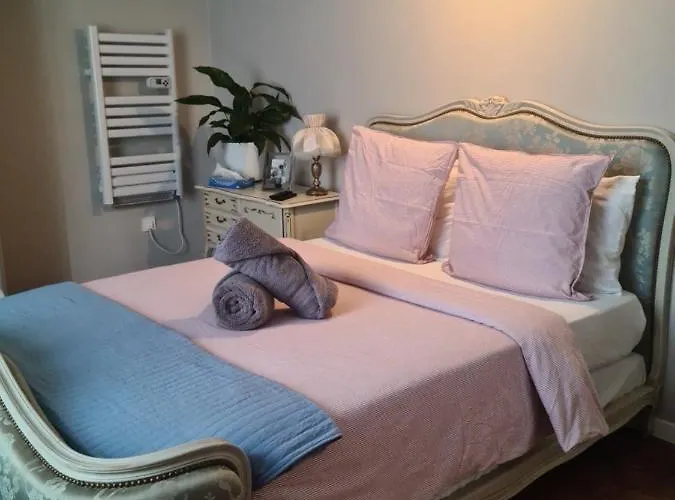 Decouvrez Ancienne Maison De Drapier Du Xvii Siecle Au Coeur De Bastide Apartment