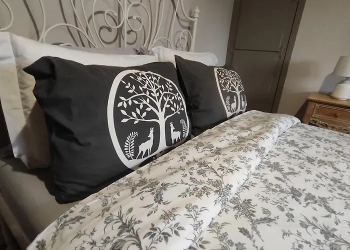 Decouvrez Ancienne Maison De Drapier Du Xvii Siecle Au Coeur De Bastide Carcassonne