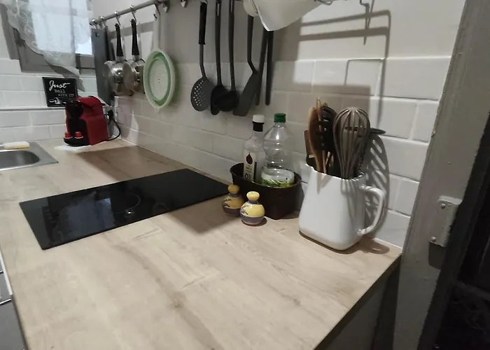 Decouvrez Ancienne Maison De Drapier Du Xvii Siecle Au Coeur De Bastide * Carcassonne